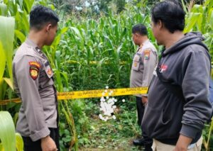 Mayat Tak Dikenal Gemparkan Warga Botolinggo Bondowoso