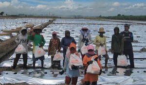 Ditraktir Sembako, Buruh Tani Sebut Mas Rio Ganteng dan Layak Jadi Bupati