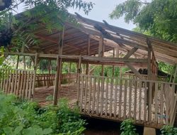 Atap Kandang Ternak Nyaris Habis Dicuri, Pj Kades Ketupat Diduga Tutup Mata