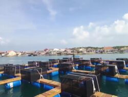 Pemindahan Keramba Keempat Rampung, Bandar Laut Dunia Grup Terus Ekspansi Budidaya Lobster Skala Raksasa di Kepulauan Kangean