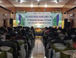 Mas Rio Optimis PG Pandjie Capai Target 15 Ribu Ton: Semangat Baru untuk Kesejahteraan Masyarakat Situbondo