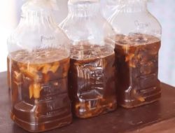 Eco-Enzyme: Solusi Alami Serbaguna Bagi Petani Organik