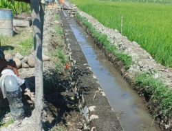 Dugaan Proyek P3-TGAI Merah Delima di Desa Semiring Bermasalah