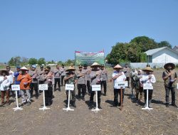 Polres Situbondo dan Dinas Pertanian Gelar Tanam Jagung Serentak di 17 Kecamatan