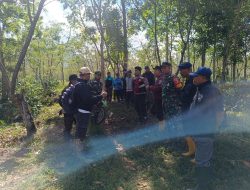 Kebun Kopi Ijen Hancur Ditebas OTK, Para Petani Histeris