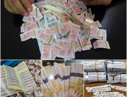 18 Fakta Kebiadaban Bandit Cukai di Balik Fasilitas Jalur Hijau