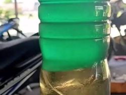 Hasil Investigasi Awal dan Tindakan Pertamina-ESDM Terkait Insiden Pertalite Jatim