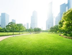 Mengapa Ruang Terbuka Hijau Penting untuk Kesehatan Kota?