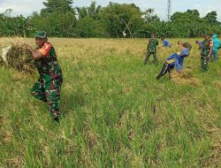 Babinsa Koramil 0823-01/Kota Dorong Ketahanan Pangan Lewat Pendampingan Petani di Dawuhan
