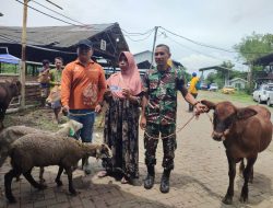 Kemenhan RI Salurkan Ratusan Ternak Bantuan Tahap Kedua bagi Buruh Tani Situbondo: Harapan Baru di Balik Alih Fungsi Lahan