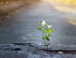 Upaya Nyata Melindungi Lingkungan dari Kerusakan Alam