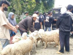 Harapan Baru di Balik Deru Pembangunan KASA: 150 Buruh Tani Situbondo Terima Bantuan Ternak