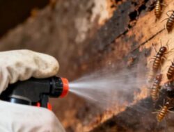 Tips Menjaga Perabot Kayu Agar Terhindar dari Rayap