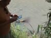 Geger! Warga Locangcang Paowan Situbondo Temukan Jasad Petani Asal Bondowoso Mengapung di Sungai