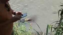 Geger! Warga Locangcang Paowan Situbondo Temukan Jasad Petani Asal Bondowoso Mengapung di Sungai