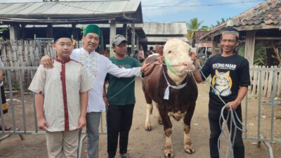 Menjelang Idul Adha 1447 H, Bang Ahmad kirim Sapi Qurban Raksasa ke Ponpes Walisongo 