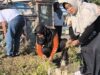 Semarak SITUBONDO PANTURA ASRI, Kecamatan Situbondo Gelar Kerja Bakti Lintas Sektor di Jalur Protokol