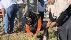 Semarak SITUBONDO PANTURA ASRI, Kecamatan Situbondo Gelar Kerja Bakti Lintas Sektor di Jalur Protokol