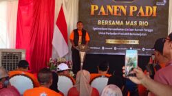 Panen Padi di Talkandang, Mas Rio Dorong Pemanfaatan Limbah Rumah Tangga untuk Pertanian Berkelanjutan