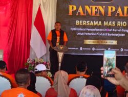 Panen Padi di Talkandang, Mas Rio Dorong Pemanfaatan Limbah Rumah Tangga untuk Pertanian Berkelanjutan