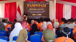 Pemanfaatan Limbah Rumah Tangga Dongkrak Produktivitas Padi, Kecamatan Situbondo Dorong Pertanian Berkelanjutan