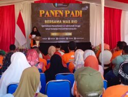 Pemanfaatan Limbah Rumah Tangga Dongkrak Produktivitas Padi, Kecamatan Situbondo Dorong Pertanian Berkelanjutan