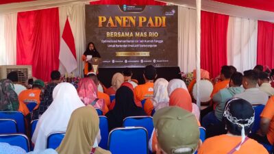 Pemanfaatan Limbah Rumah Tangga Dongkrak Produktivitas Padi, Kecamatan Situbondo Dorong Pertanian Berkelanjutan