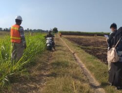 DBHCHT Perkuat Sektor Pertanian Situbondo, Dispertangan Kelola Anggaran Lebih dari Rp.16 Miliar untuk Sarana, Prasarana, dan Penyuluhan